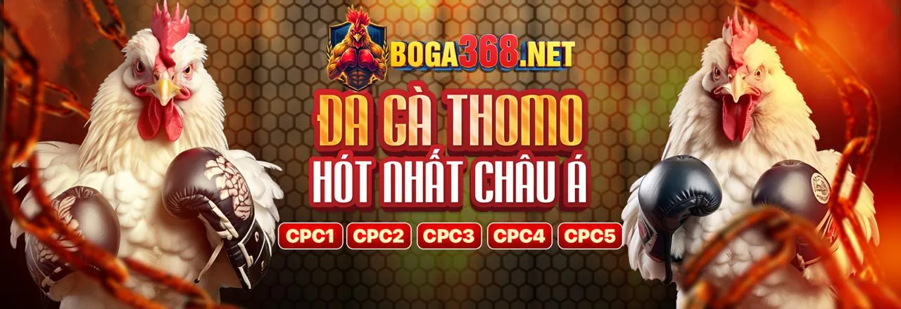 Hỗ trợ khách hàng 24/7 tại km88